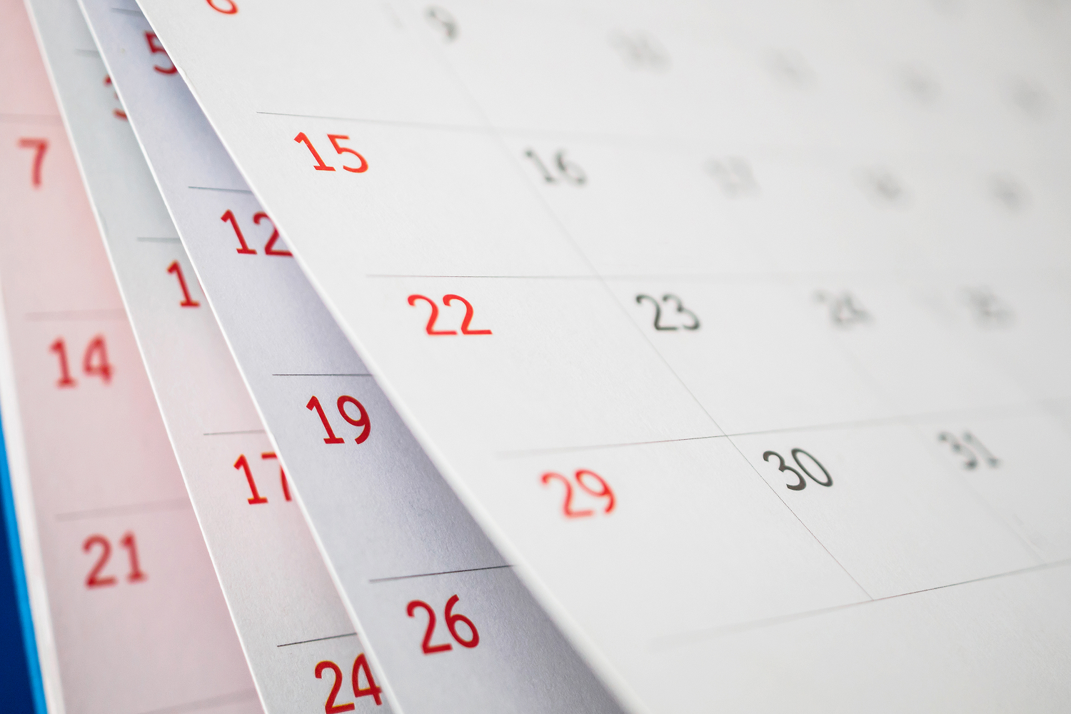 В РФ продлили действие правил госрегистрации и ключевых переходных пунктов