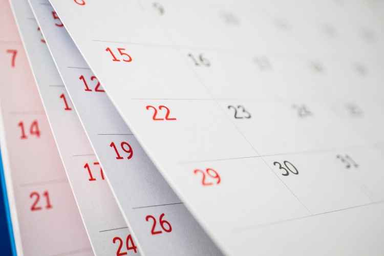 В РФ продлили действие правил госрегистрации и ключевых переходных пунктов